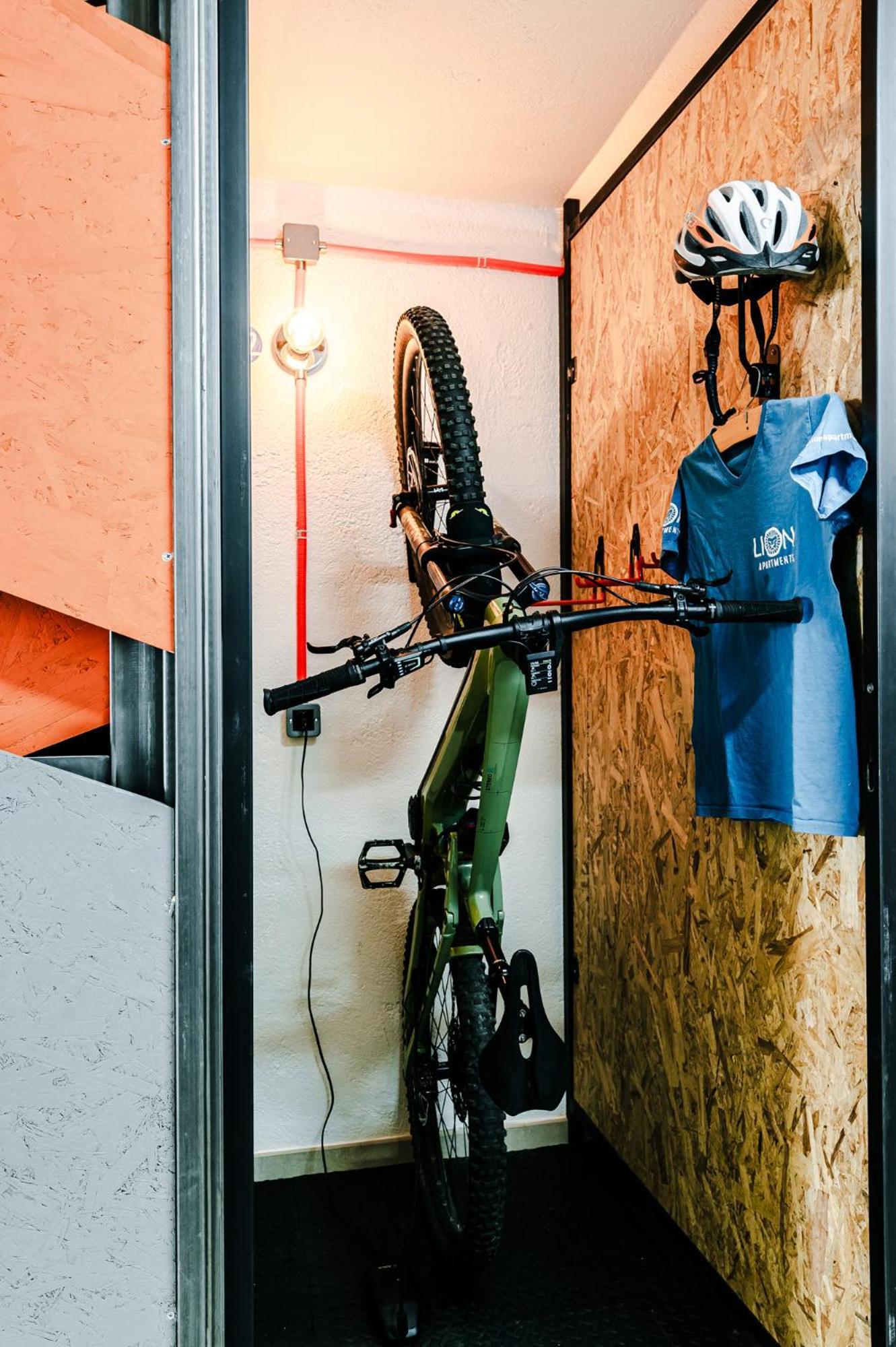 Le Lion Apartments - Bike & Ski 奥斯塔 外观 照片